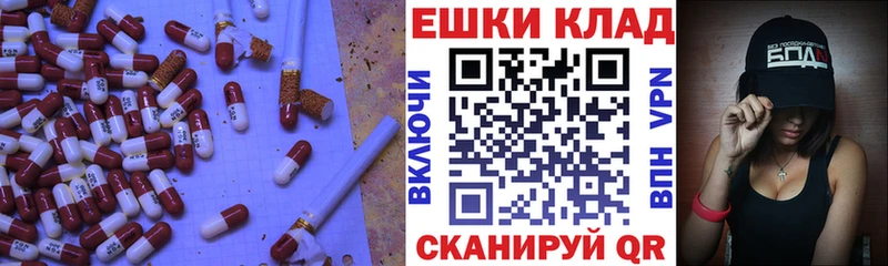 закладки  ссылка на мегу как зайти  Экстази Punisher  Макаров 