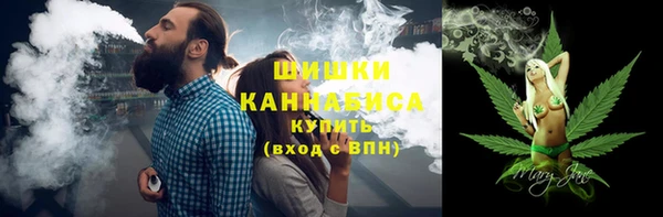 метадон Богданович