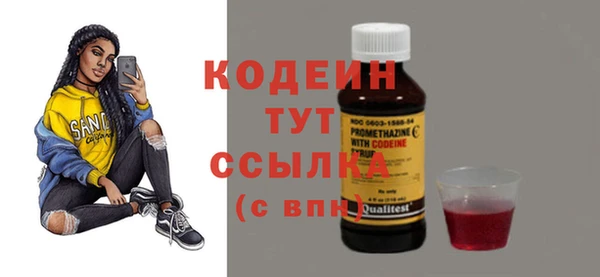 метадон Богданович