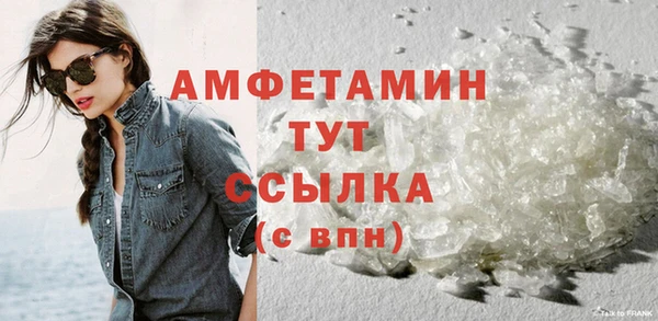метадон Богданович
