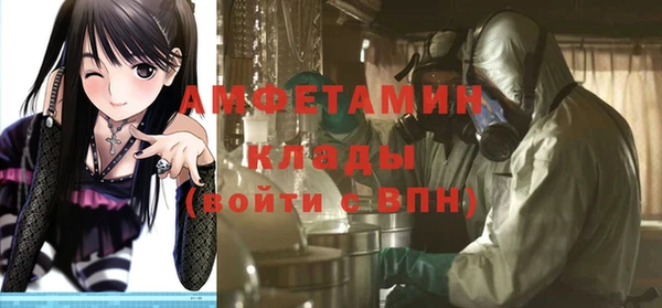 метадон Богданович