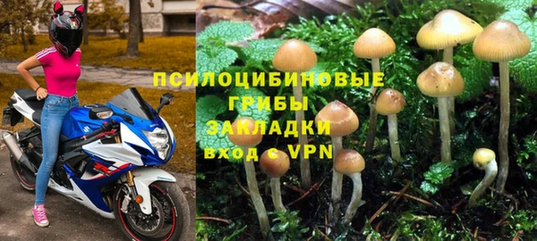метадон Богданович